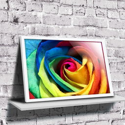 壁畫價(jià)格查詢與比較指南——以50-70元商品為例